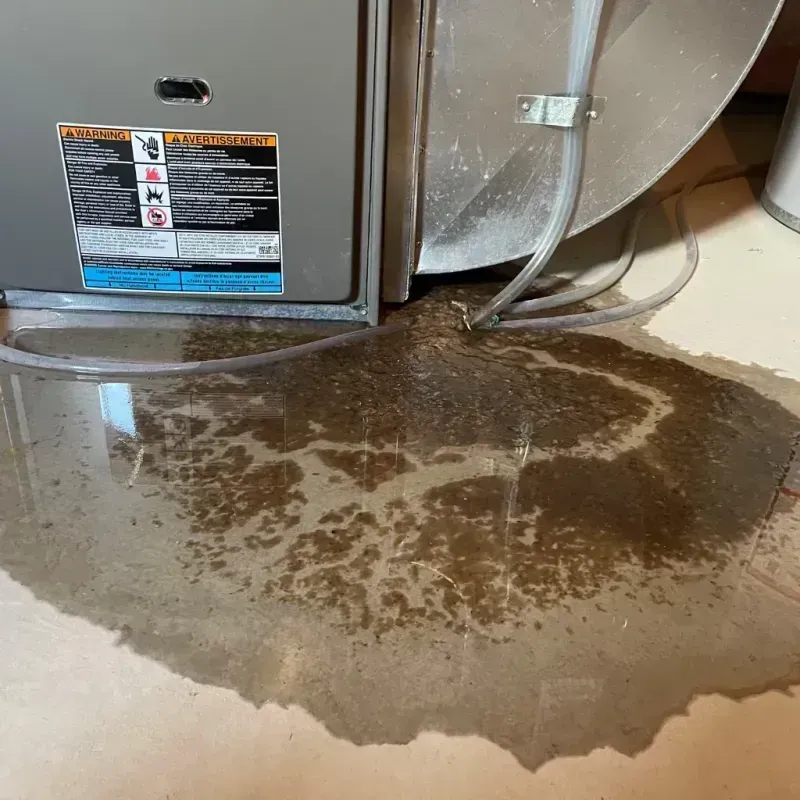 Appliance Leak Cleanup in Wyoming County, PA